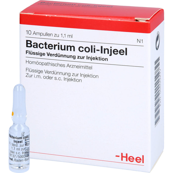 Bacterium coli-Injeel flüssige Verdünnung zur Injektion, 10 pcs. Ampoules