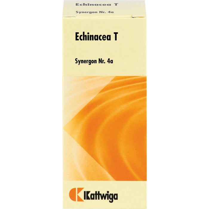 Synergon Komplex 4a Echinacea T Tbl., 100 St TAB