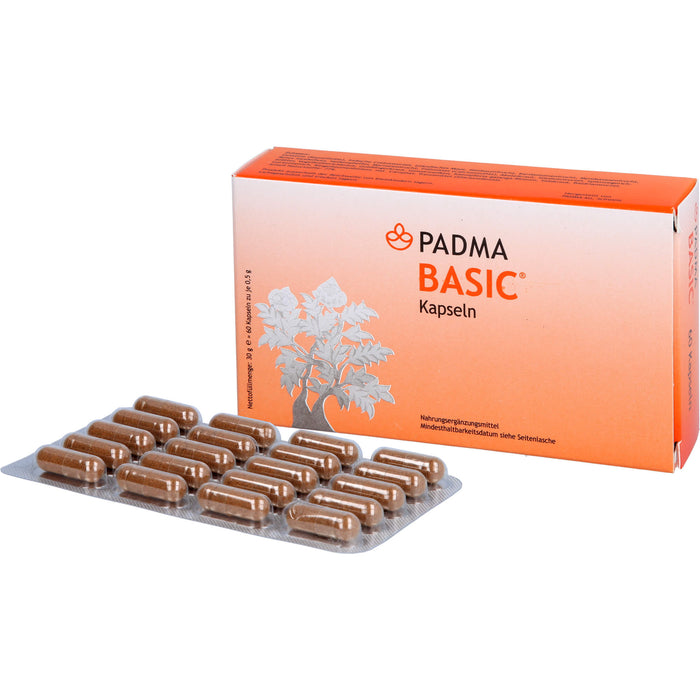 Padma Basic, 60 St KAP