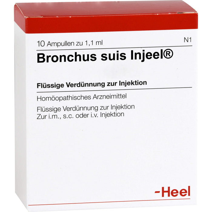 Bronchus suis-Injeel flüssige Verdünnung zur Injektion, 10 pcs. Ampoules