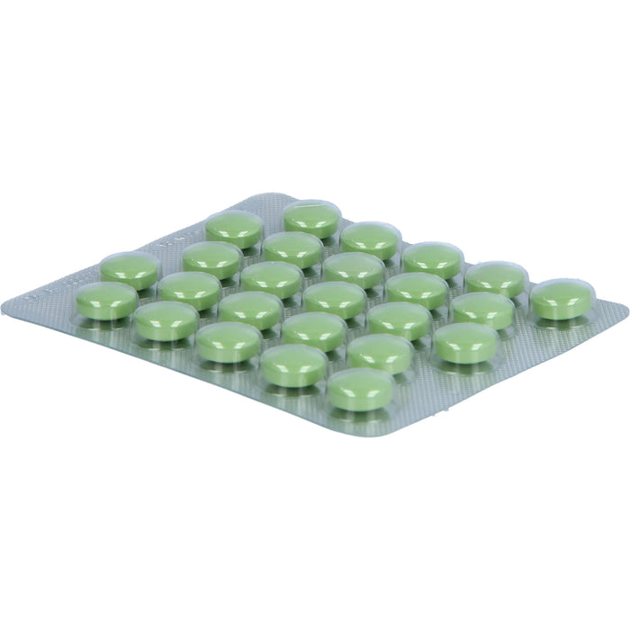 Bronchipret TP Filmtabletten, 100 pcs. Tablets