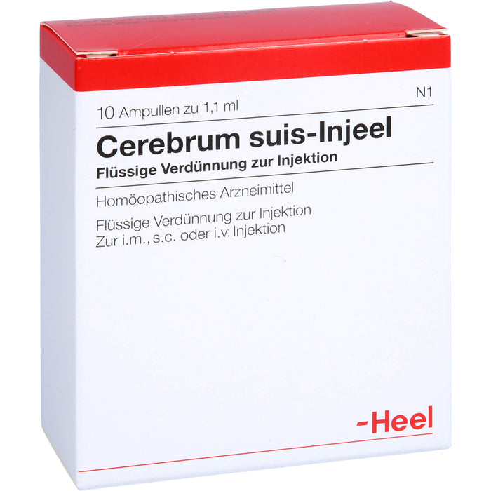 Cerebrum suis-Injeel flüssige Verdünnung, 10 pcs. Ampoules