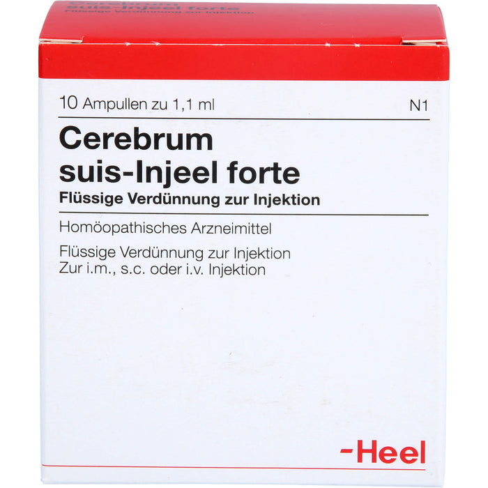 Cerebrum suis-Injeel forte Inj.-Lsg., 10 St AMP