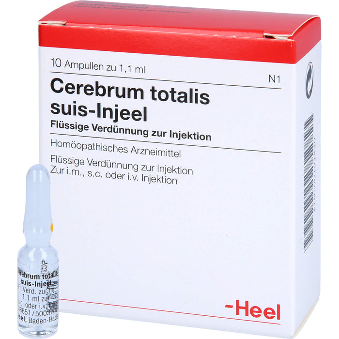 Cerebrum Totalis Suis Injeel flüssige Verdünnung, 10 pcs. Ampoules