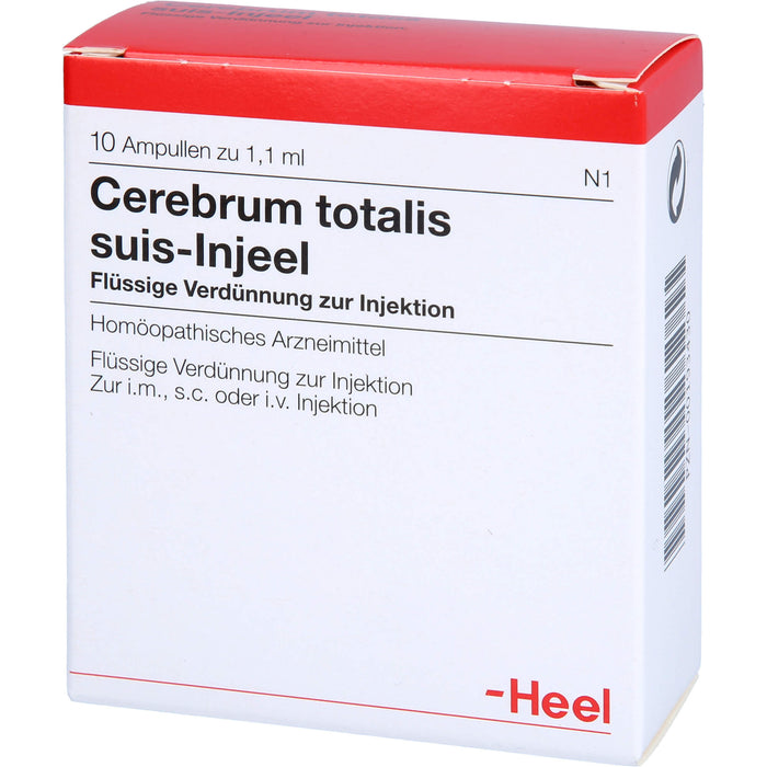 Cerebrum Totalis Suis Injeel flüssige Verdünnung, 10 pcs. Ampoules