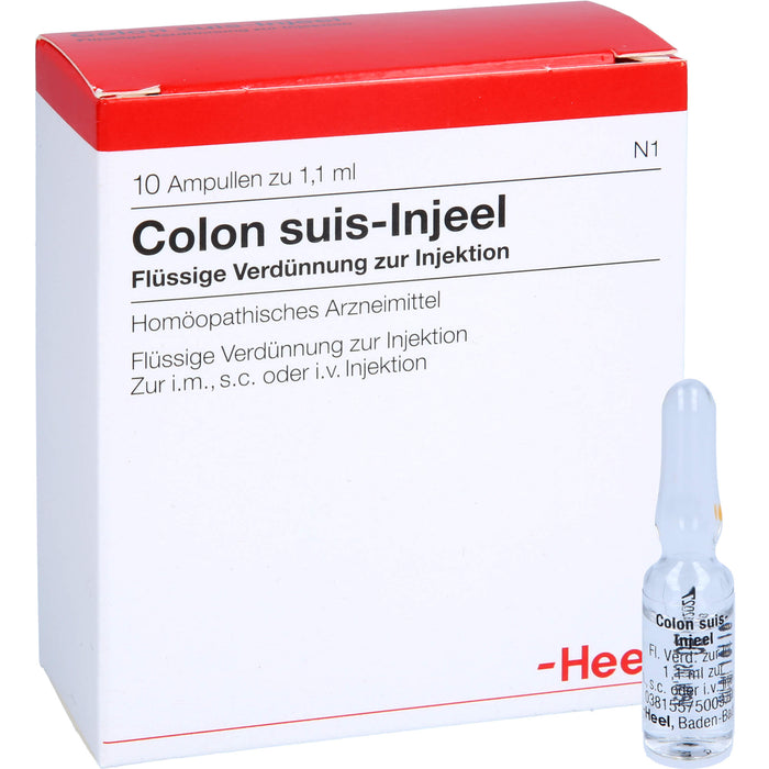 Heel Colon suis-Injeel flüssige Verdünnung, 10 St. Ampullen