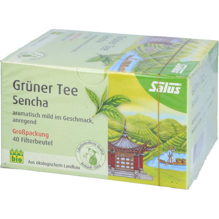 Grüner Tee Grosspackung bio Salus, 40 St FBE