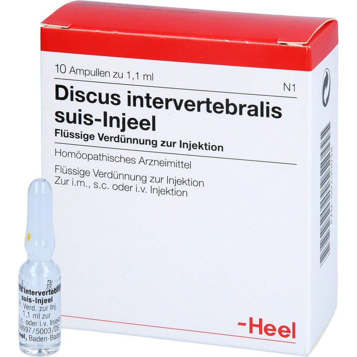 Heel Discus intervertebralis suis-Injeel flüssige Verdünnung, 10 St. Ampullen