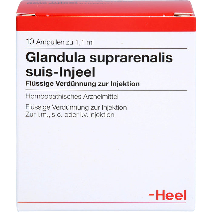 Glandula suprarenalis suis-Injeel Ampullen, 10 pc Ampoules