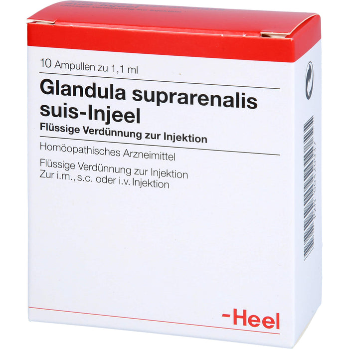 Glandula suprarenalis suis-Injeel Ampullen, 10 St. Ampullen