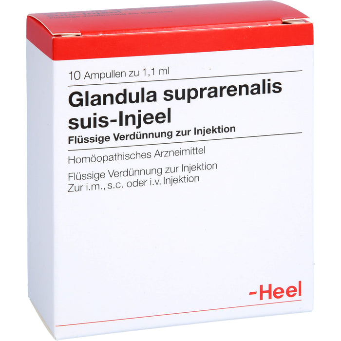 Glandula suprarenalis suis-Injeel Ampullen, 10 pcs. Ampoules