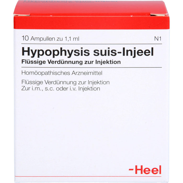 Hypophysis suis-Injeel flüssige Verdünnung, 10 pcs. Ampoules