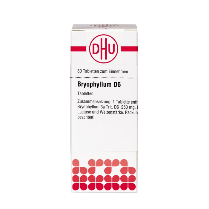 DHU Bryophyllum D6 Tabletten, 80 pcs. Tablets