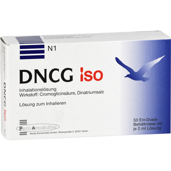 DNCG Iso Inhalationslösung, 50 St. Ampullen