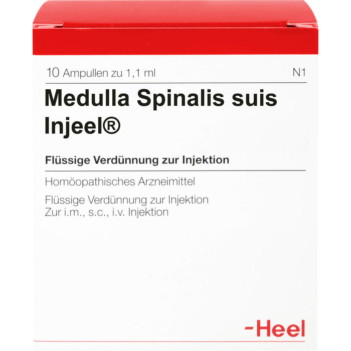 Medulla spinalis suis Injeel flüssige Verdünnung, 10 pcs. Ampoules