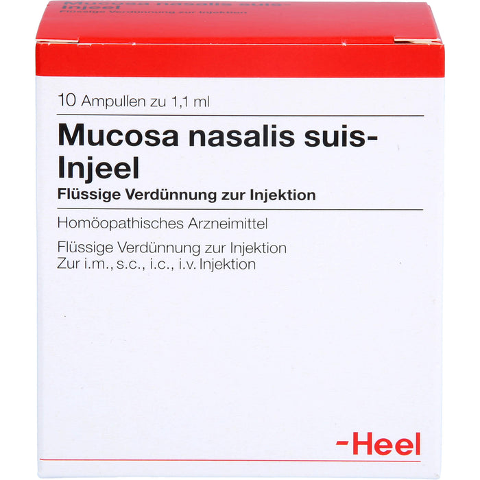 Mucosa nasalis suis-Injeel Inj.-Lsg., 10 St AMP