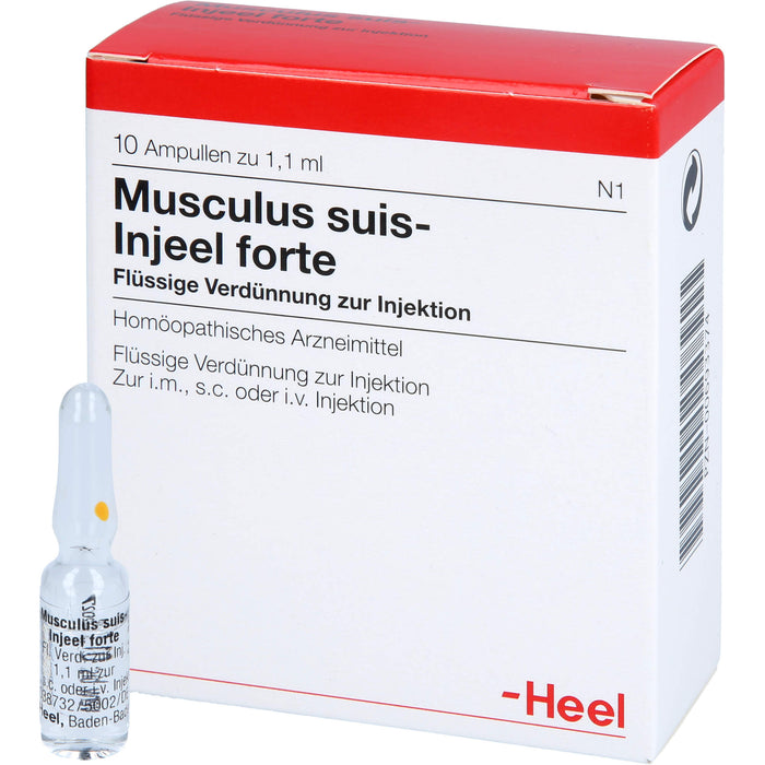 Musculus suis-Injeel forte flüssige Verdünnung, 10 St. Ampullen