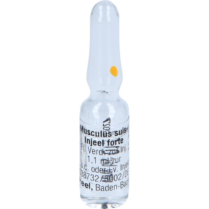 Musculus suis-Injeel forte flüssige Verdünnung, 10 pcs. Ampoules