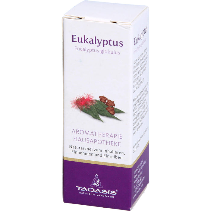 Eukalyptus Öl Arzneimittel, 10 ml Etheric oil