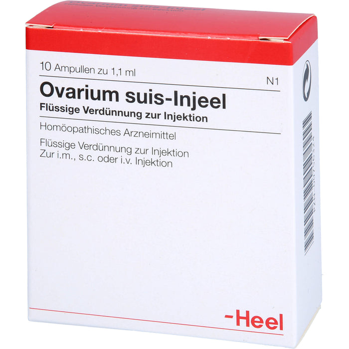 Ovarium suis-Injeel flüssige Verdünnung, 10 pcs. Ampoules