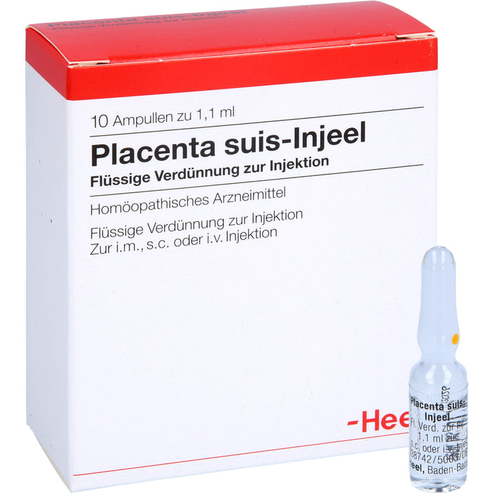 Placenta suis-Injeel flüssige Verdünnung, 10 pc Ampoules