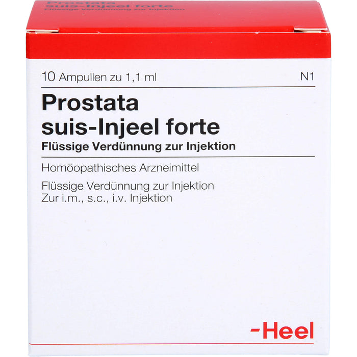 Prostata suis-Injeel forte Inj.-Lsg., 10 St. Ampullen