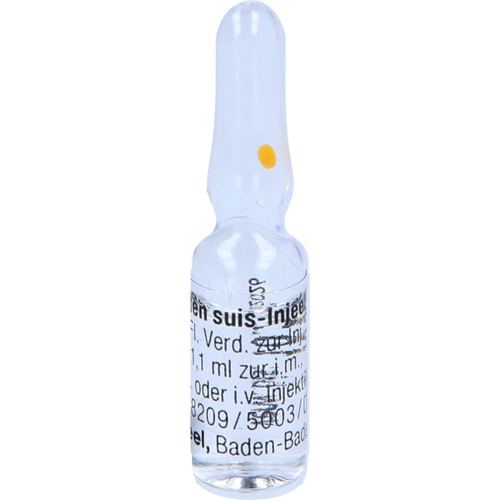 Ren suis-Injeel Injektionslösung, 10 pc Ampoules