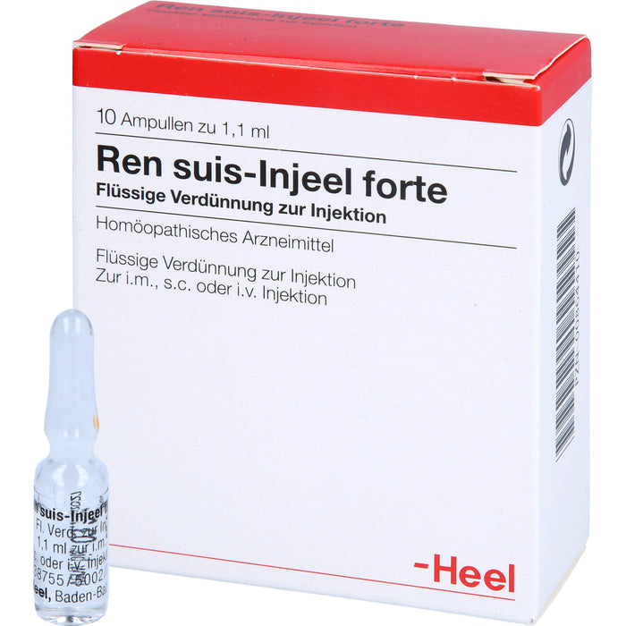 Ren suis-Injeel forte Ampullen, 10 St. Ampullen