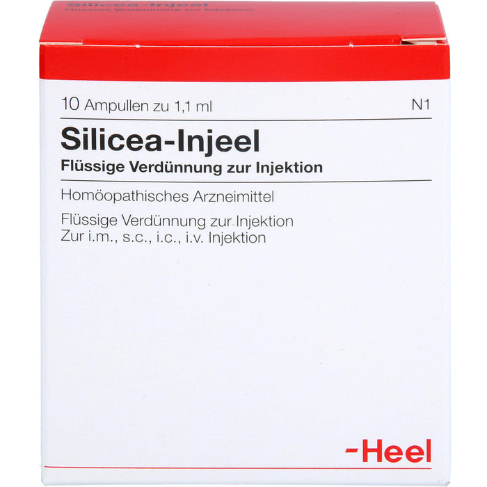 Heel Silicea-Injeel flüssige Verdünnung zur Injektion, 10 pcs. Ampoules