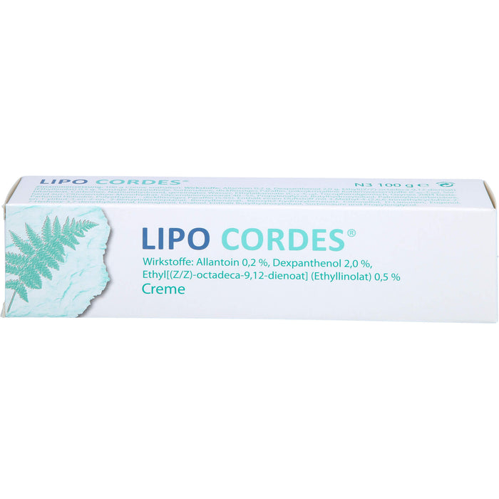 LIPO CORDES Creme bei fettarmer Haut, 100 g Creme