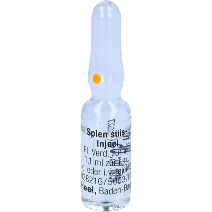 Heel Splen suis-Injeel flüssige Verdünnung, 10 pcs. Ampoules