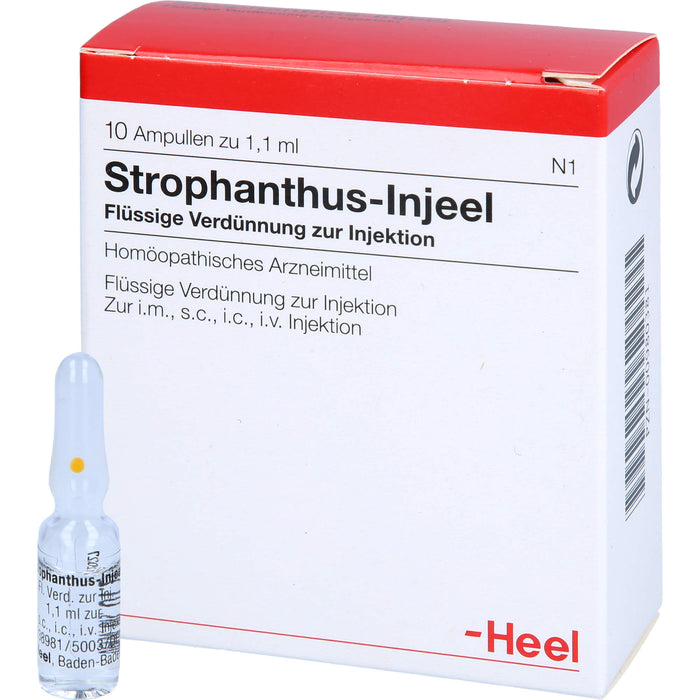 Heel Strophanthus Injeel flüssige Verdünnung, 10 St. Ampullen