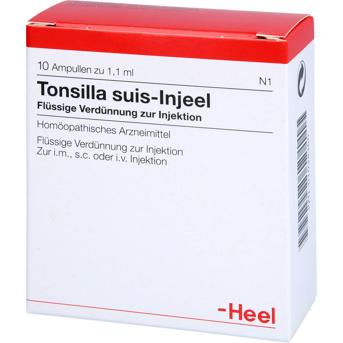 Tonsilla suis Injeel Amp., 10 St AMP