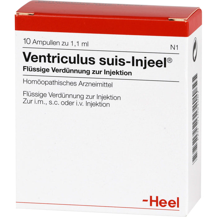 Ventriculus suis-Injeel flüssige Verdünnung, 10 St. Ampullen