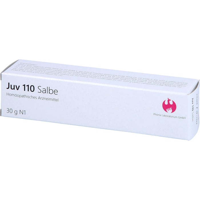 JUV 110 Salbe, 30 g Ointment