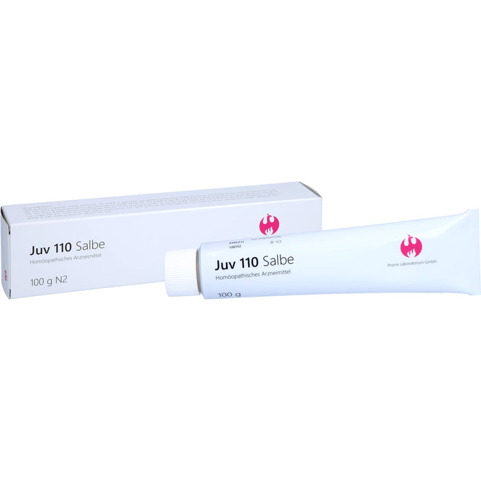 Juv 110 Salbe, 100 g Onguent