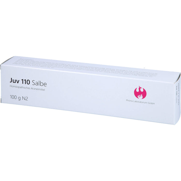 Juv 110 Salbe, 100 g Salbe