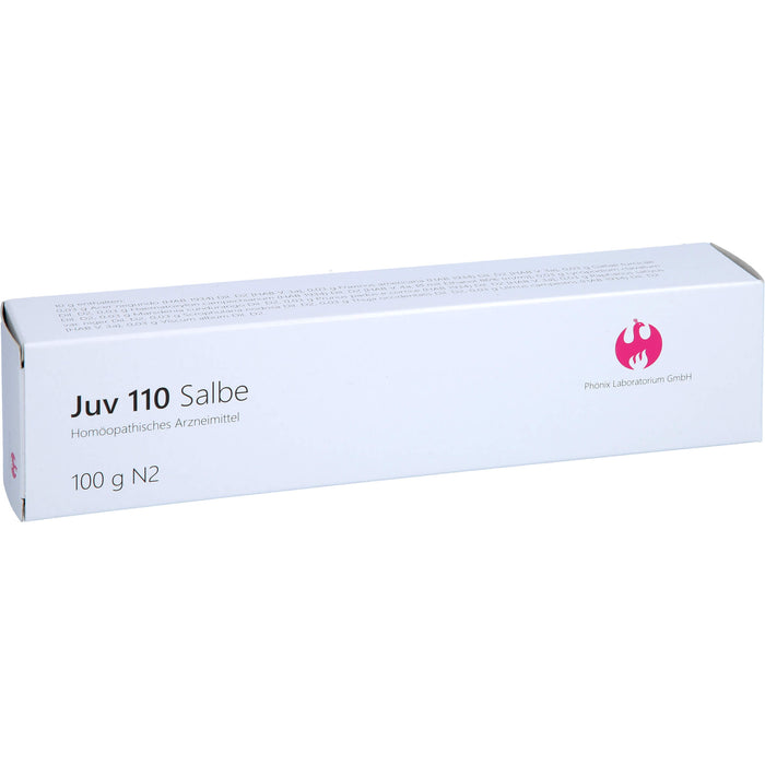 Juv 110 Salbe, 100 g Salbe