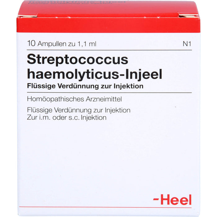 Streptococcus haemolyticus-Injeel flüssige Verdünnung, 10 St. Ampullen