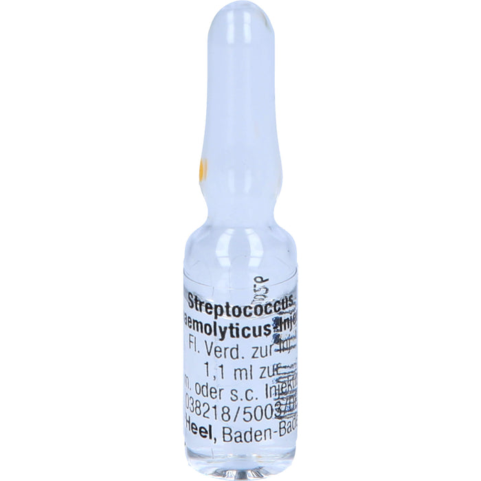 Streptococcus haemolyticus-Injeel flüssige Verdünnung, 10 pcs. Ampoules