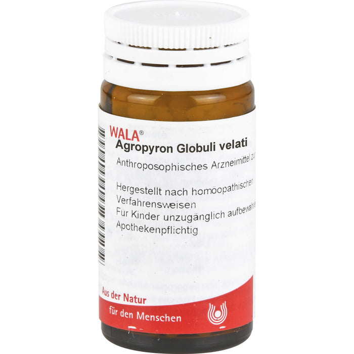 WALA Agropyron Globuli velati, 20 g Globules