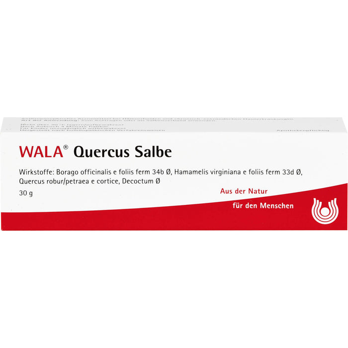 WALA Quercus Salbe bei Hämorrhoiden, 30 g Ointment