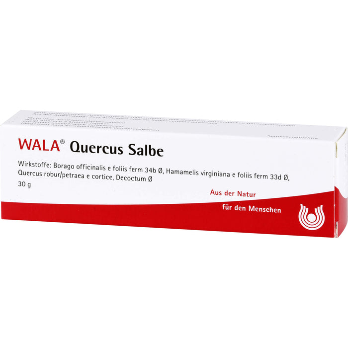 WALA Quercus Salbe bei Hämorrhoiden, 30 g Ointment