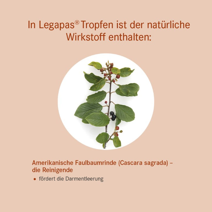 Legapas Tropfen Abführmittel, 45 ml Solution