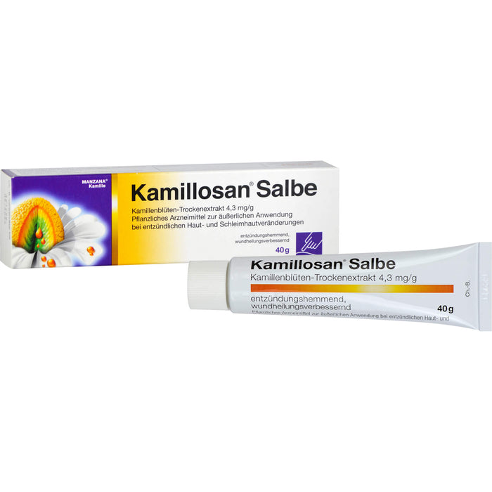 Kamillosan Salbe bei entzündlichen Haut- und Schleimhautveränderungen, 40 g Ointment