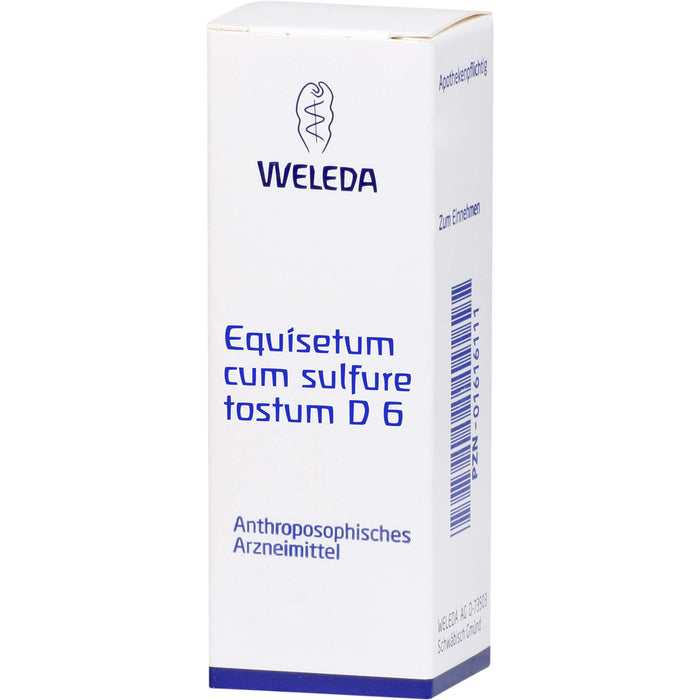 WELEDA Equisetum cum Sulfure tostum D6 Verreibung, 20 g Powder