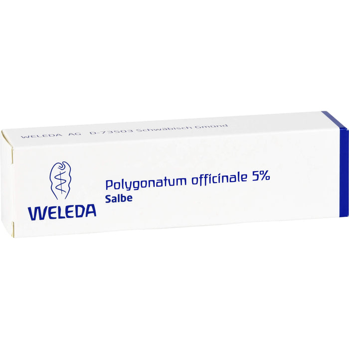 WELEDA Polygonatum officinale 5% Salbe, 25 g Onguent