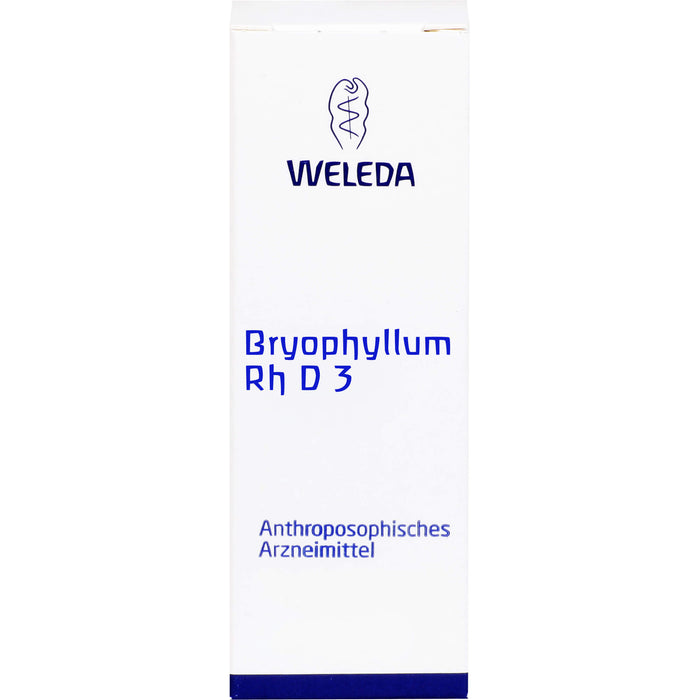 Bryophyllum Rh D3 Weleda Dil., 20 ml DIL