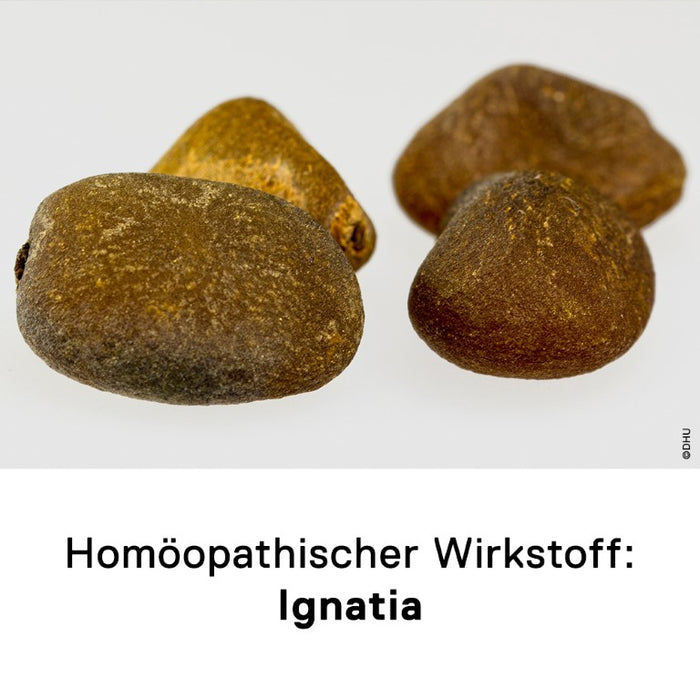 DHU Ignatia D6 Streukügelchen, 10 g Globules