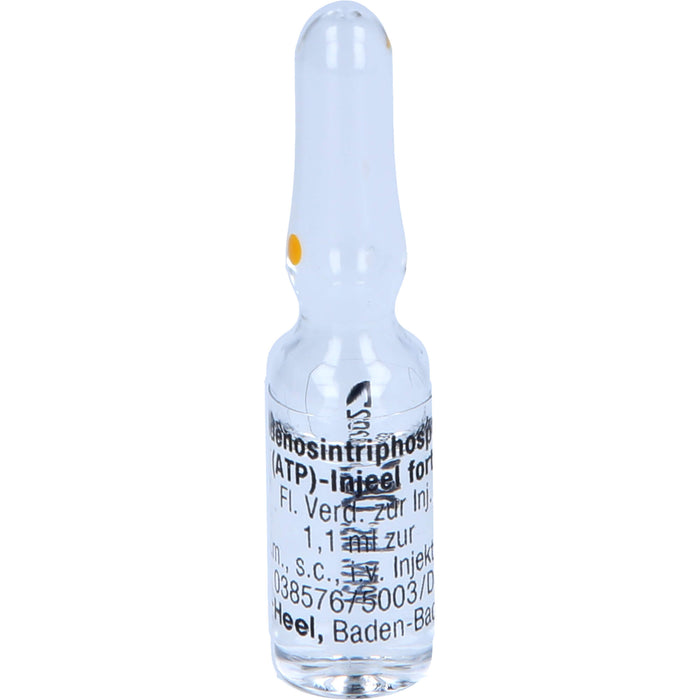 Adenosintriphosphat (ATP)-Injeel forte Ampullen, 10 pc Ampoules